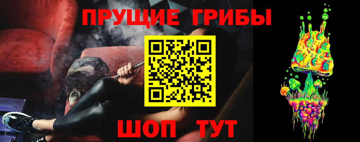 Галлюциногенные грибы мухоморы Будённовск