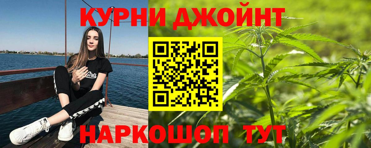 Конопля планчик Будённовск